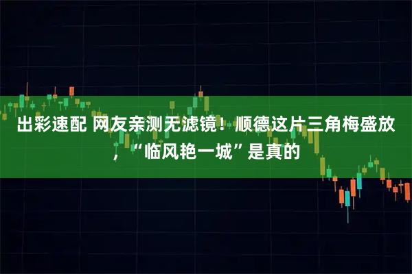 出彩速配 网友亲测无滤镜！顺德这片三角梅盛放，“临风艳一城”是真的