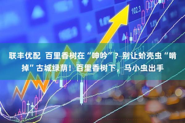 联丰优配  百里香树在“呻吟”？别让蚧壳虫“啃掉”古城绿荫！百里香树下，马小虫出手
