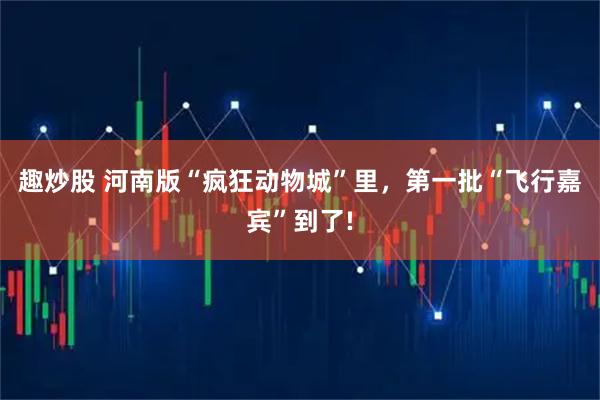 趣炒股 河南版“疯狂动物城”里，第一批“飞行嘉宾”到了!