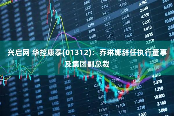 兴启网 华控康泰(01312)：乔琳娜辞任执行董事及集团副总裁