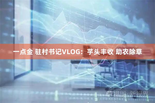 一点金 驻村书记VLOG：芋头丰收 助农除草