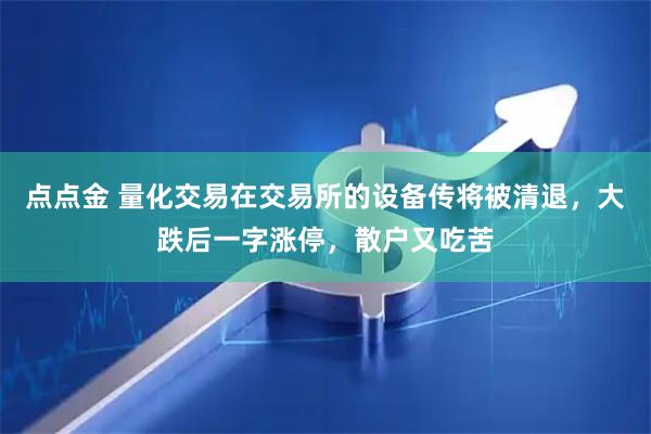 点点金 量化交易在交易所的设备传将被清退，大跌后一字涨停，散户又吃苦