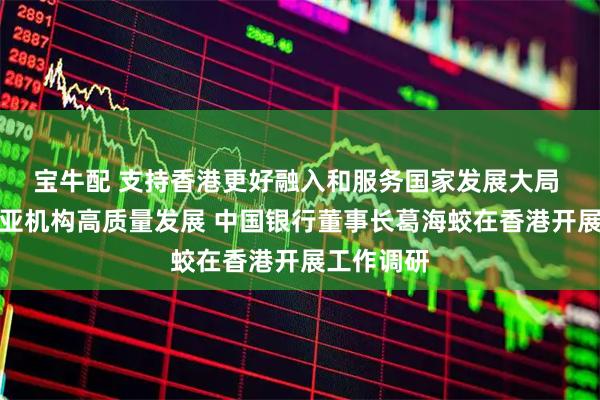 宝牛配 支持香港更好融入和服务国家发展大局 赋能东南亚机构高质量发展 中国银行董事长葛海蛟在香港开展工作调研